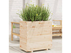 Planter 70x40x72 cm solid pine wood 66877AFKZ