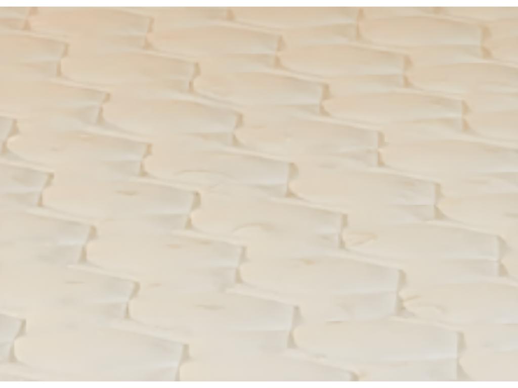 Set of 2 Memory Foam Mattresses 80x200 cm 70 kg/m³ with 2 Mattress Protectors - Height 25.5 cm Extra Firm - 7 Comfort Zones - Nidchicshop 60426ISYT