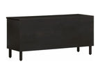 Black TV stand 100x33x46 cm solid mango wood 69688SDLE