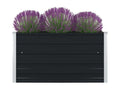Planter 100x100x45 cm Galvanized Steel Anthracite 56816NGCB